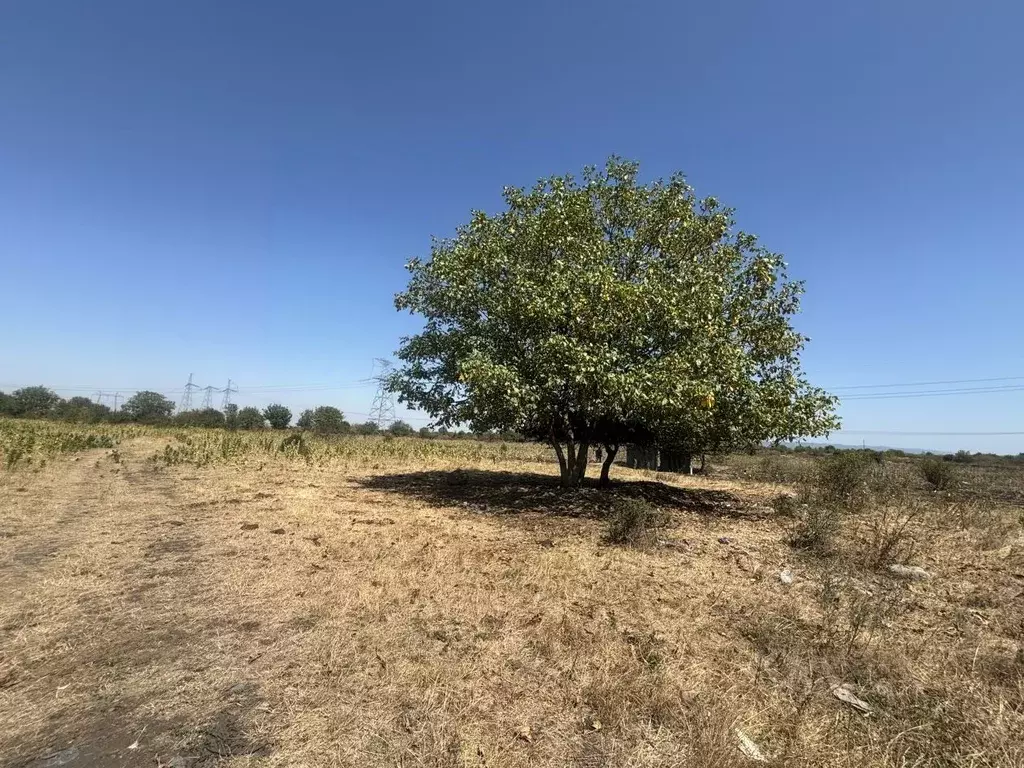 Участок в Северная Осетия, Заводской пгт  (6.0 сот.) - Фото 1