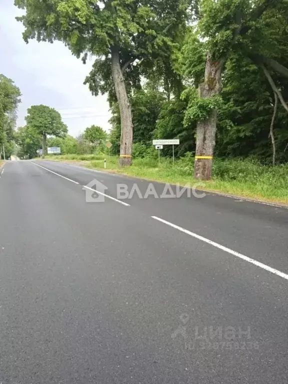 Участок в Калининградская область, Багратионовский муниципальный ... - Фото 1