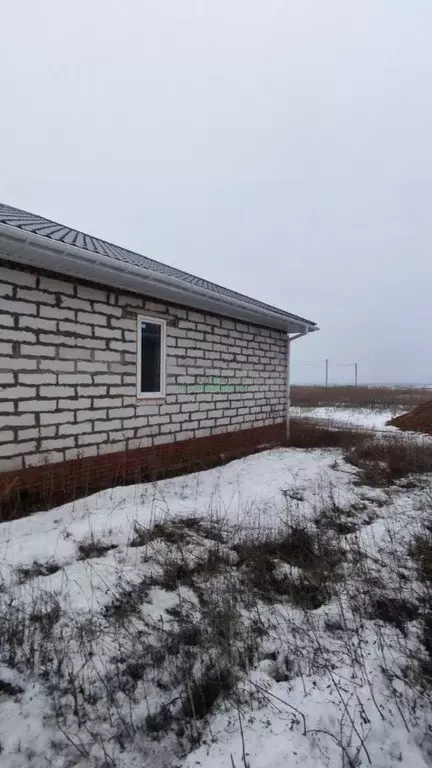 Дом в Саратовская область, Балаковский район, с. Натальино ул. Имени ... - Фото 1