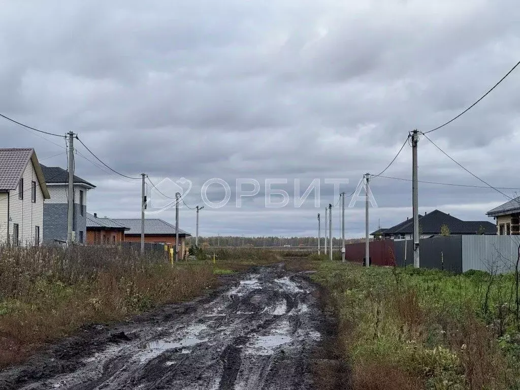 Участок в Тюменская область, Тюменский муниципальный округ, д. Ушакова ... - Фото 1