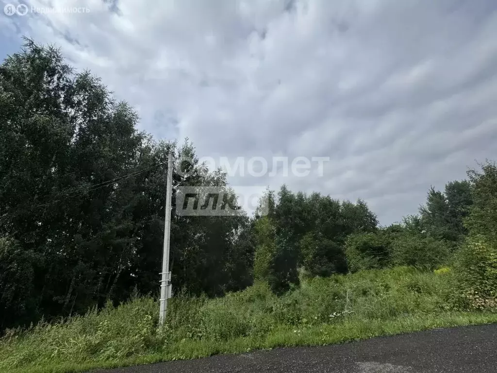 Участок в Старая Купавна, Нижегородская улица (5.3 м) - Фото 2
