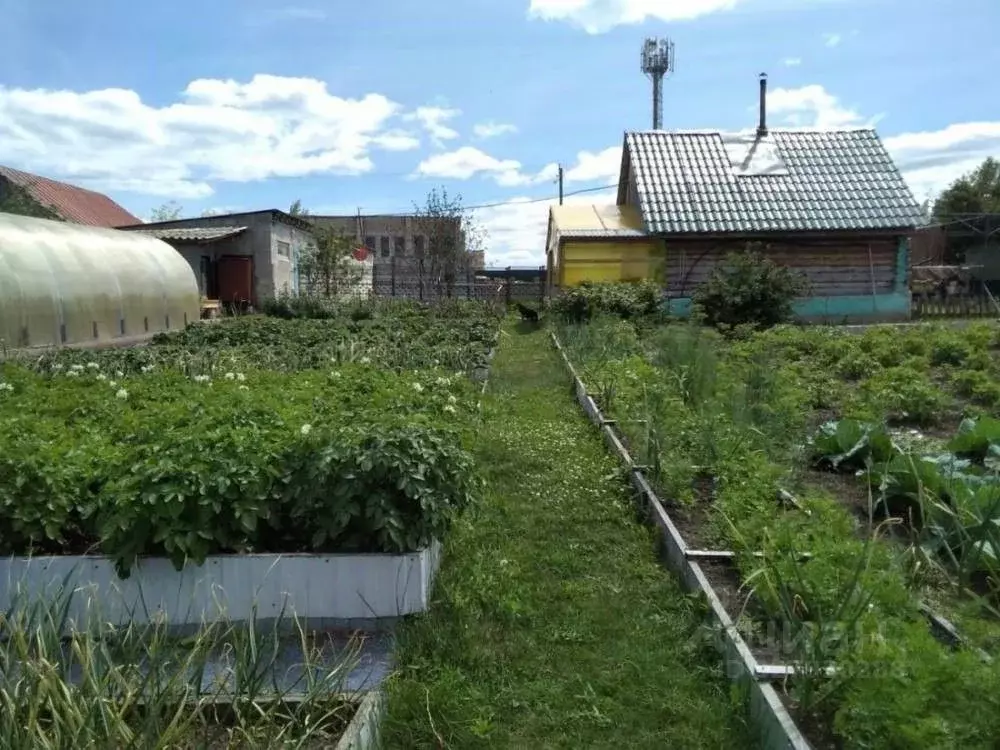 Участок в Самарская область, Шигонский район, с. Суринск Советская ул. ... - Фото 1