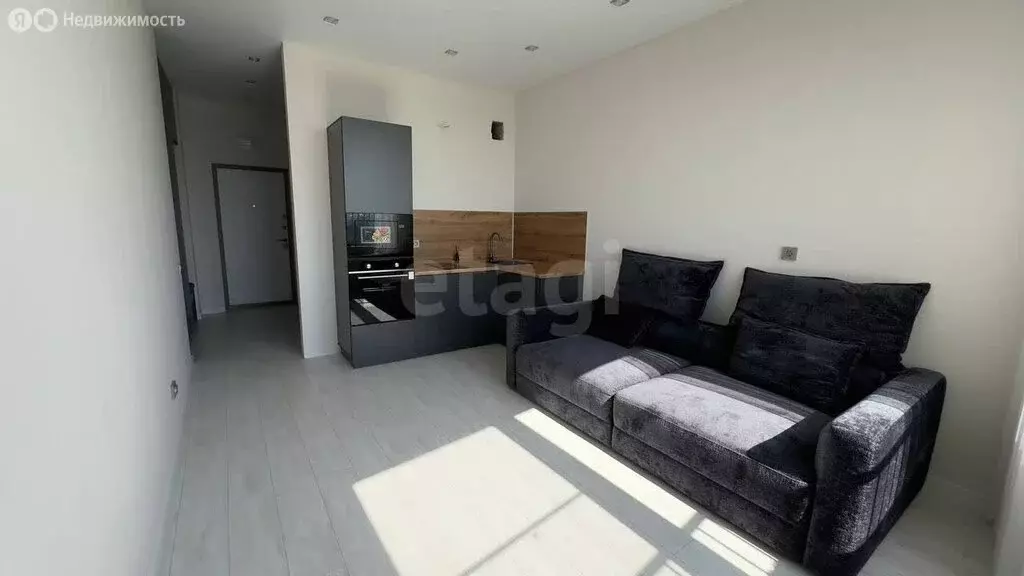 Квартира-студия: Тюмень, улица Фармана Салманова, 1 (24.6 м) - Фото 2