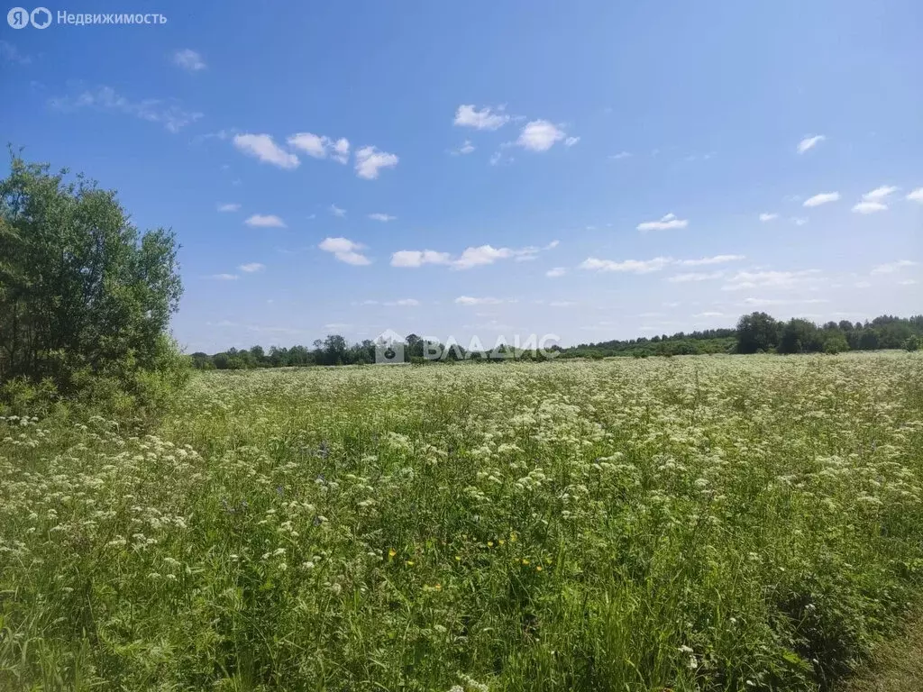 Участок в Вологодский муниципальный округ, СТ Ручеёк-91 (11 м) - Фото 0