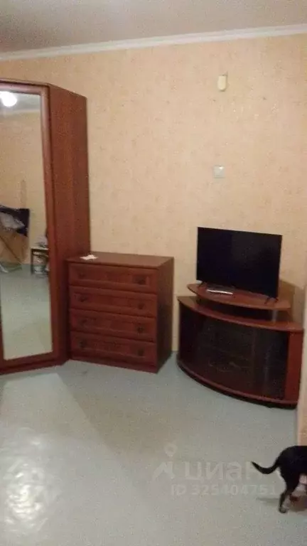 1-к кв. Пермский край, Пермь ул. Солдатова, 29 (34.0 м) - Фото 1