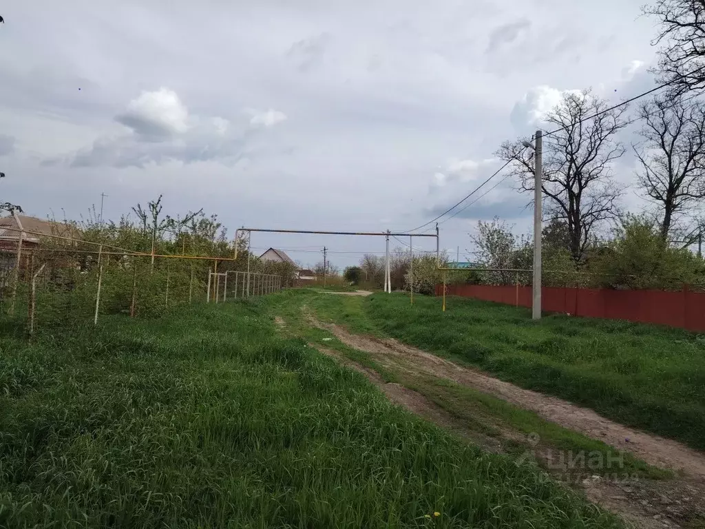 Участок в Краснодарский край, Щербиновский район, Старощербиновская ... - Фото 0
