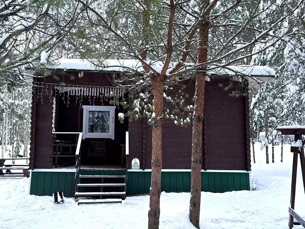 Дом в Новгородская область, Любытинское с/пос, д. Бор 129 (30 м) - Фото 2