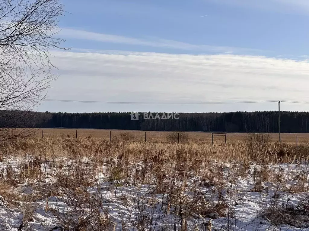 Участок в Московская область, Воскресенск городской округ, д. ... - Фото 0