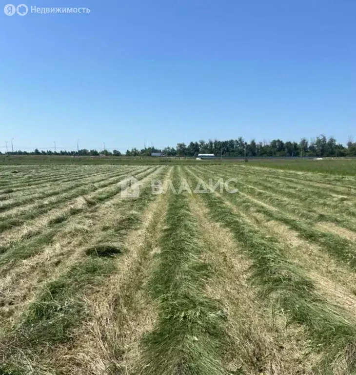 Участок в село Амерево, Новорязанское шоссе, 110-й километр (320 м) - Фото 0