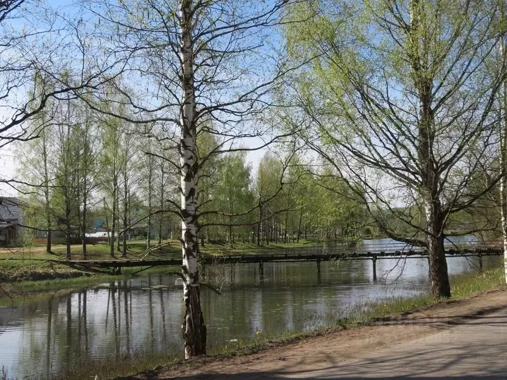 Дом в Тверская область, Оленинский район, пос. Мирный  (66 м) - Фото 1