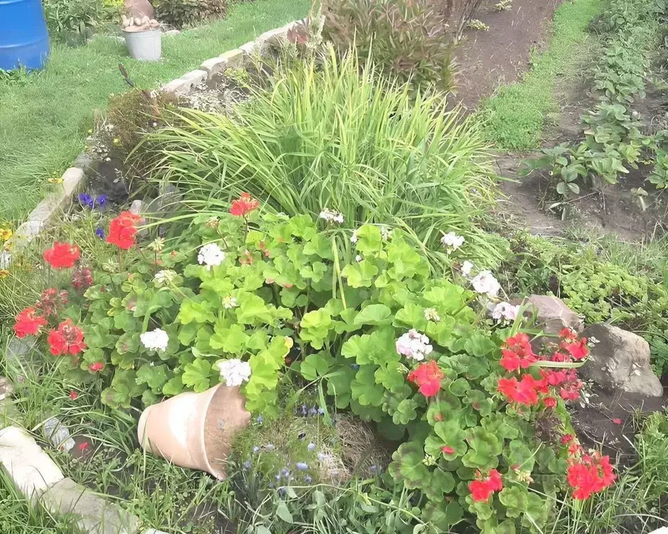 Дом в Ярославская область, Рыбинск Володарец СНТ,  (24 м) - Фото 1