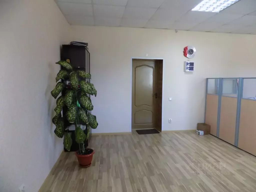Помещение свободного назначения в Курская область, Курск Гремяченская ... - Фото 1