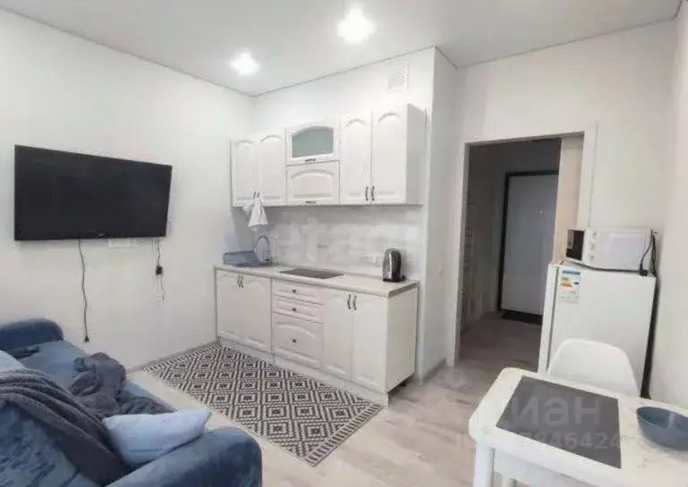 Студия Тюменская область, Тюменский муниципальный округ, д. Дударева ... - Фото 1