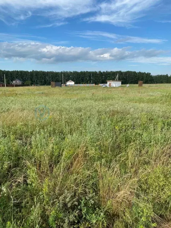 Участок в Омская область, Омский район, с. Усть-Заостровка, Иртышские ... - Фото 1