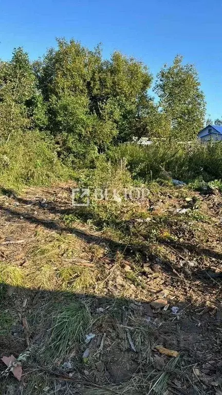 Участок в Ивановская область, Иваново ул. Матросова, 5 (4.9 сот.) - Фото 0