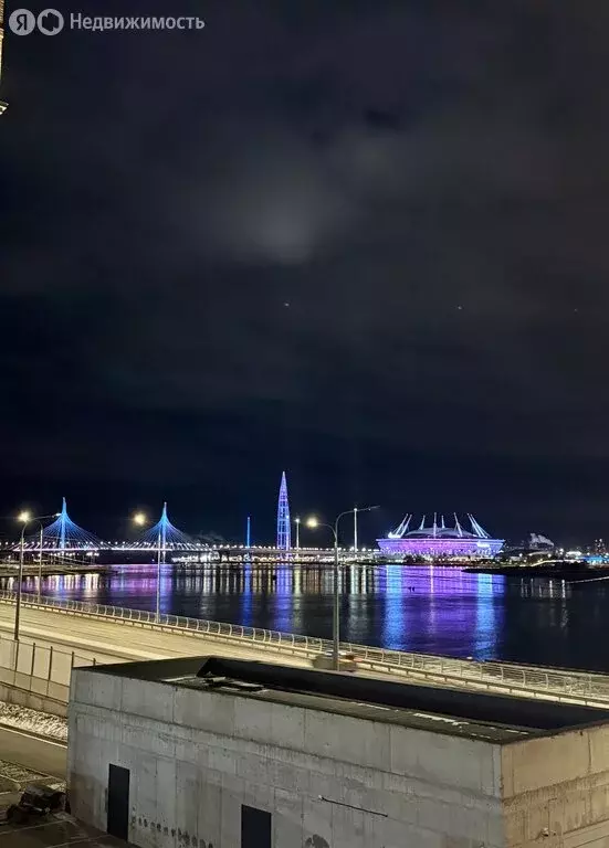 Квартира-студия: Санкт-Петербург, набережная Макарова, 58 (29.5 м) - Фото 2