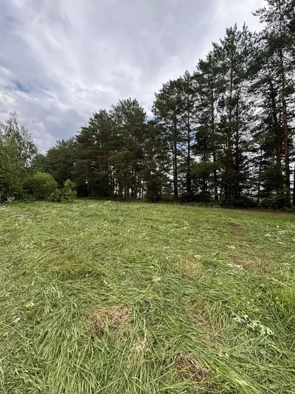 Участок в Кировская область, Орловское с/пос, д. Болдычи  (38.0 сот.) - Фото 1