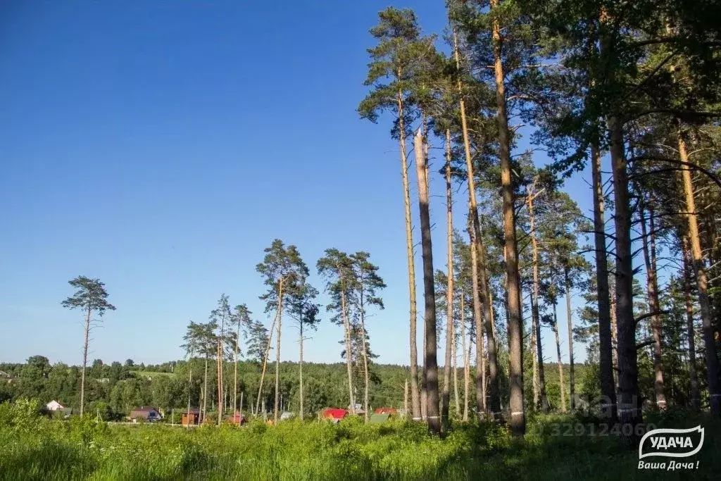Участок в Московская область, Ступино городской округ, Живописный ... - Фото 2