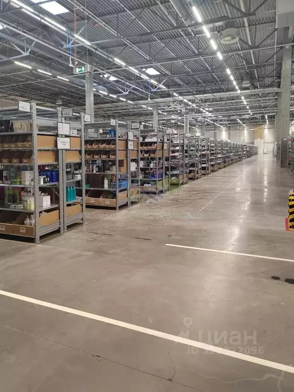Склад в Новосибирская область, Новосибирск ул. Мира, 13 (3000 м) - Фото 2