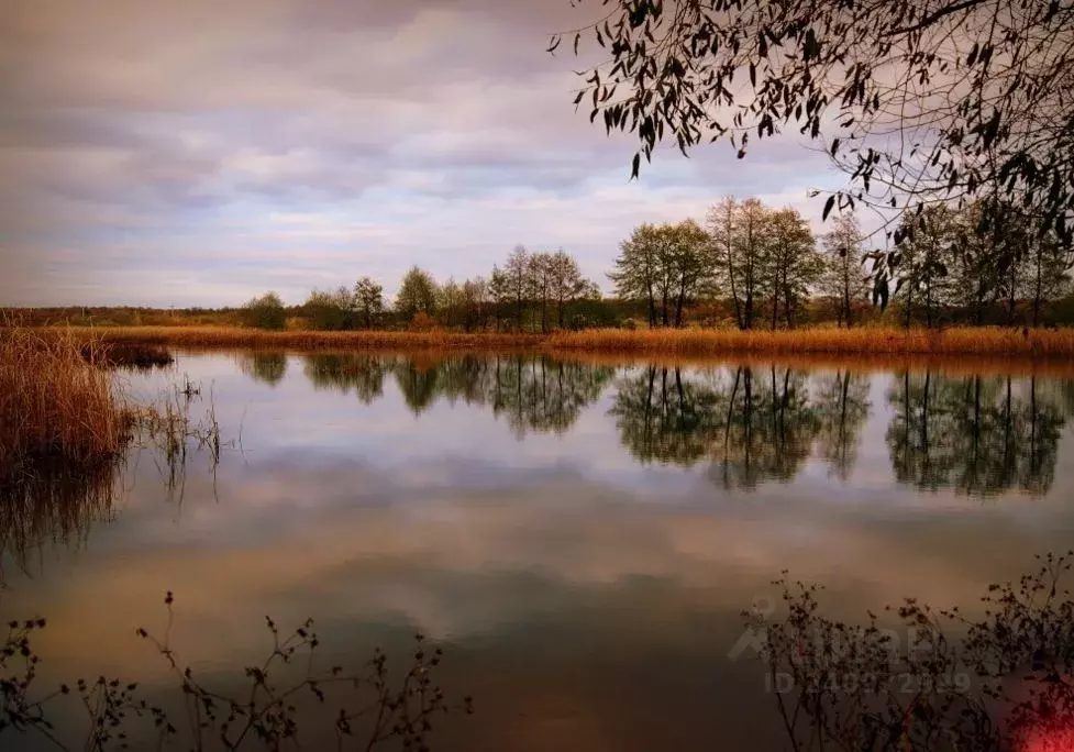 Участок в Воронежская область, Рамонь рп  (80.0 сот.) - Фото 1