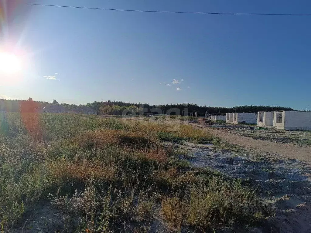 Участок в Курская область, Курский район, Моковский сельсовет, д. ... - Фото 1