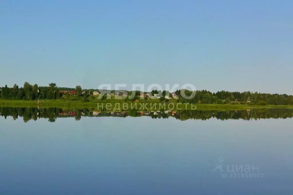 Участок в Пермский край, Березники муниципальный округ, д. Турлавы ул. ... - Фото 2