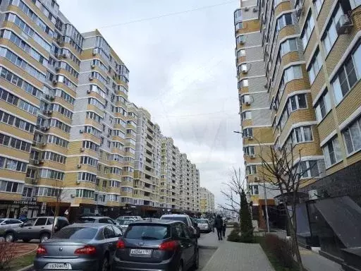 Квартира-студия, 29 м, 3/13 эт. - Фото 0