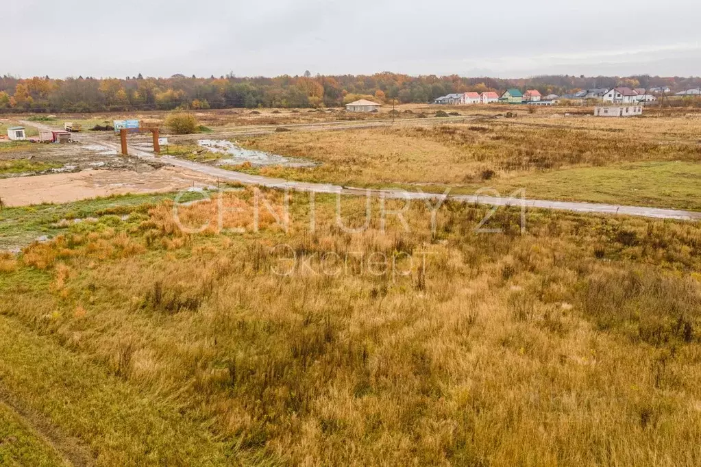 Участок в Калининградская область, Гурьевский муниципальный округ, ... - Фото 2