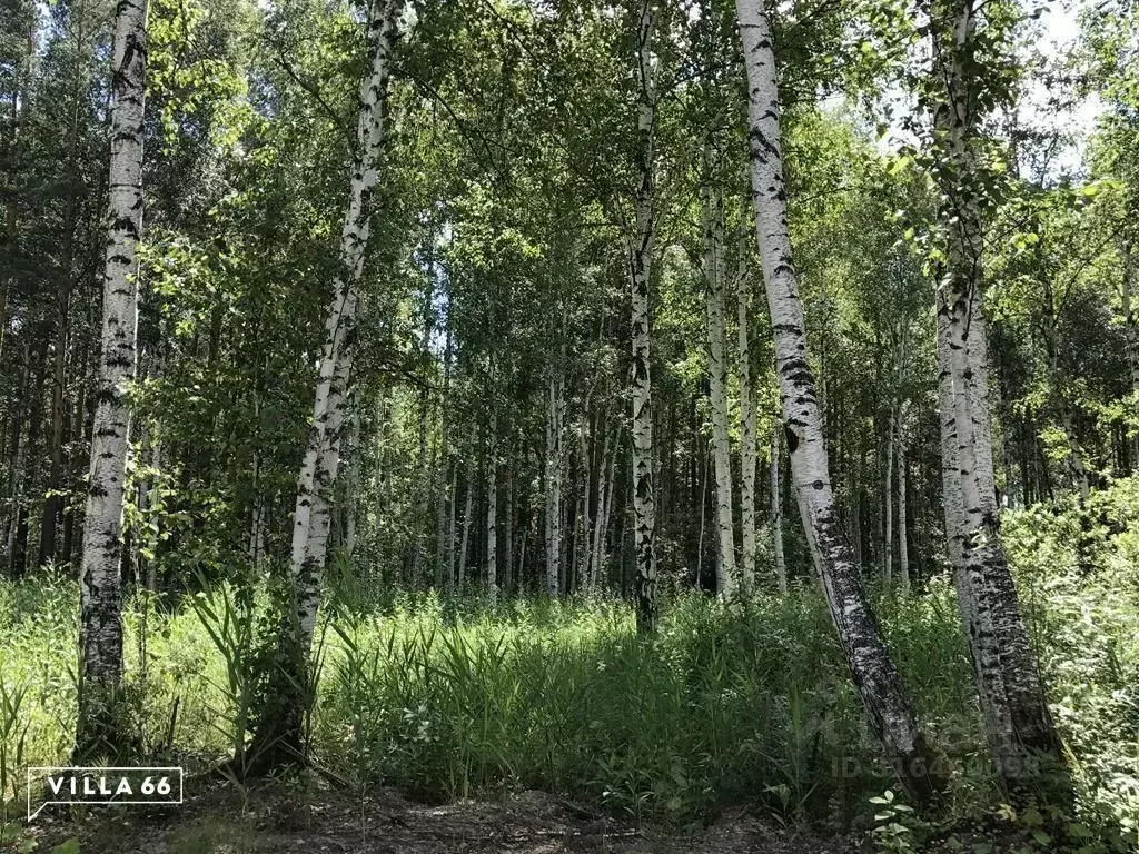 Участок в Свердловская область, Сысертский муниципальный округ, пос. ... - Фото 0