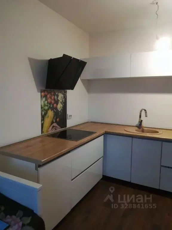 Студия Санкт-Петербург ул. Морской Пехоты, 26к1 (21.0 м) - Фото 1