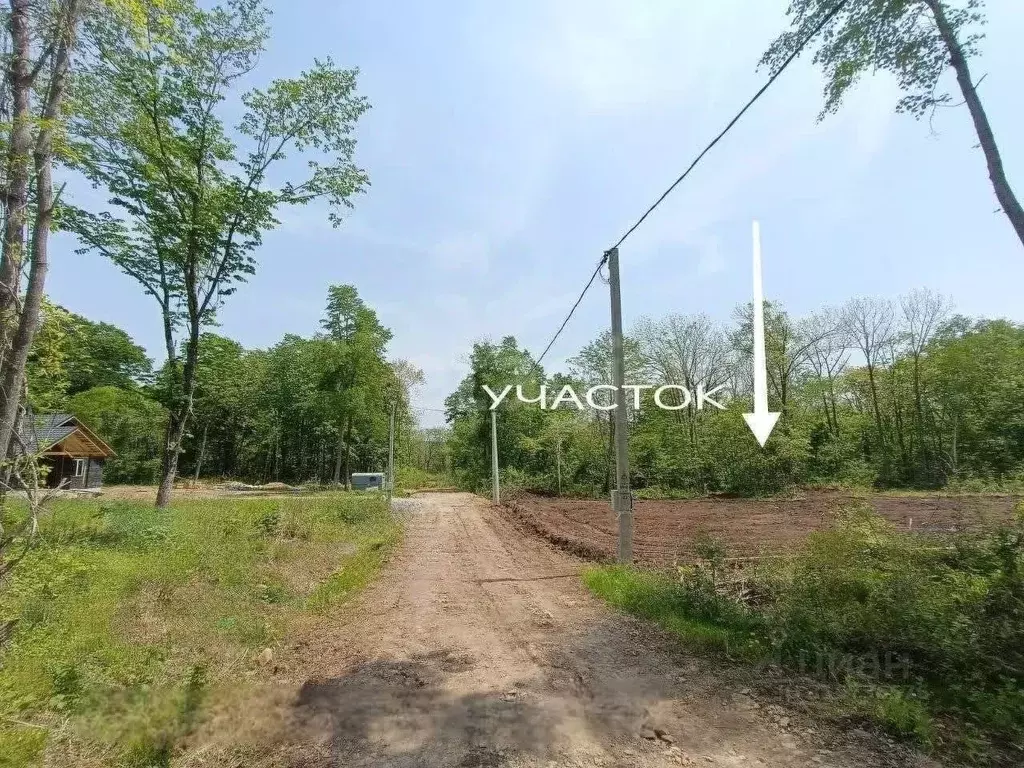 Участок в Приморский край, Надеждинский район, Актинидия СНТ  (10.0 ... - Фото 1