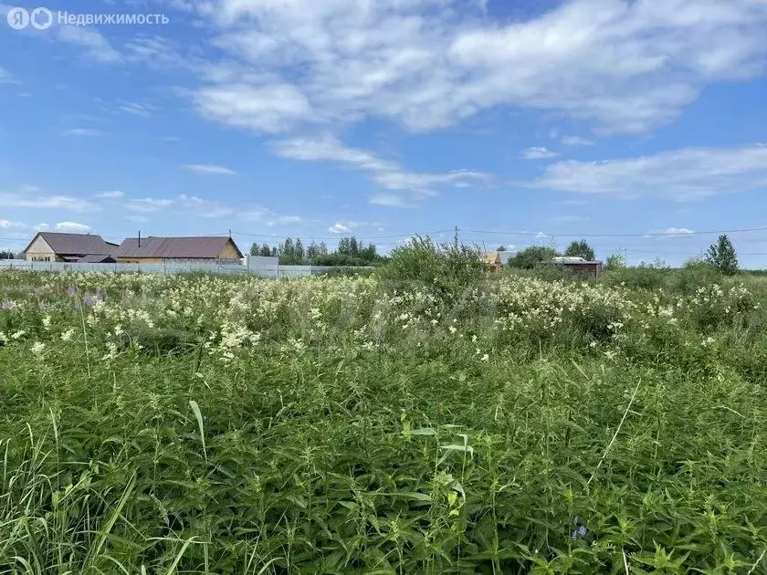 Участок в Тюмень, садовое товарищество Царево (6 м) - Фото 1