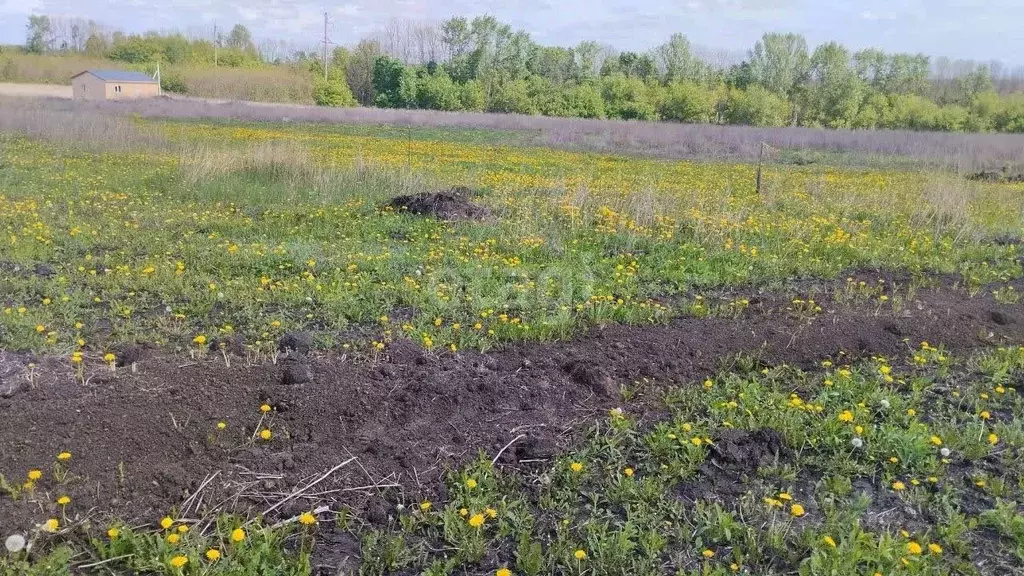 Участок в Белгородская область, Белгород  (15.2 сот.) - Фото 0