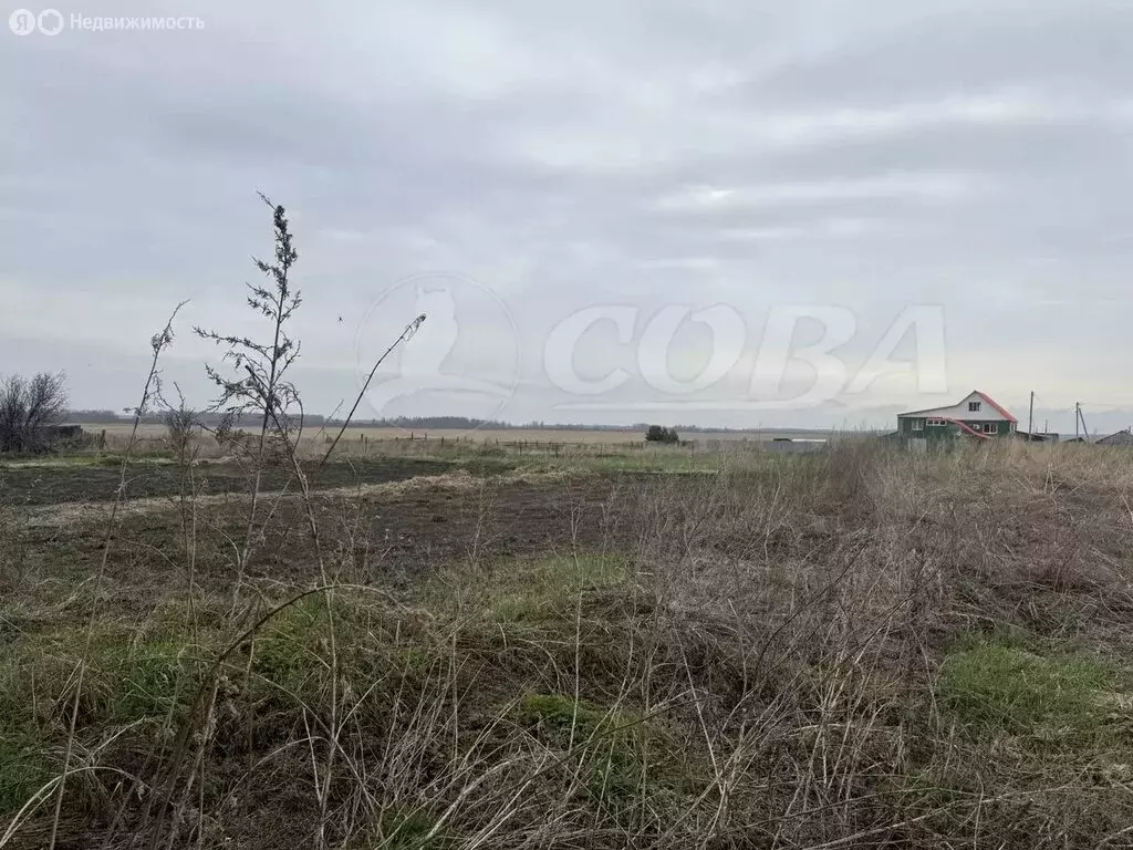 Дом в Тюменская область, село Исетское (25.5 м) - Фото 2