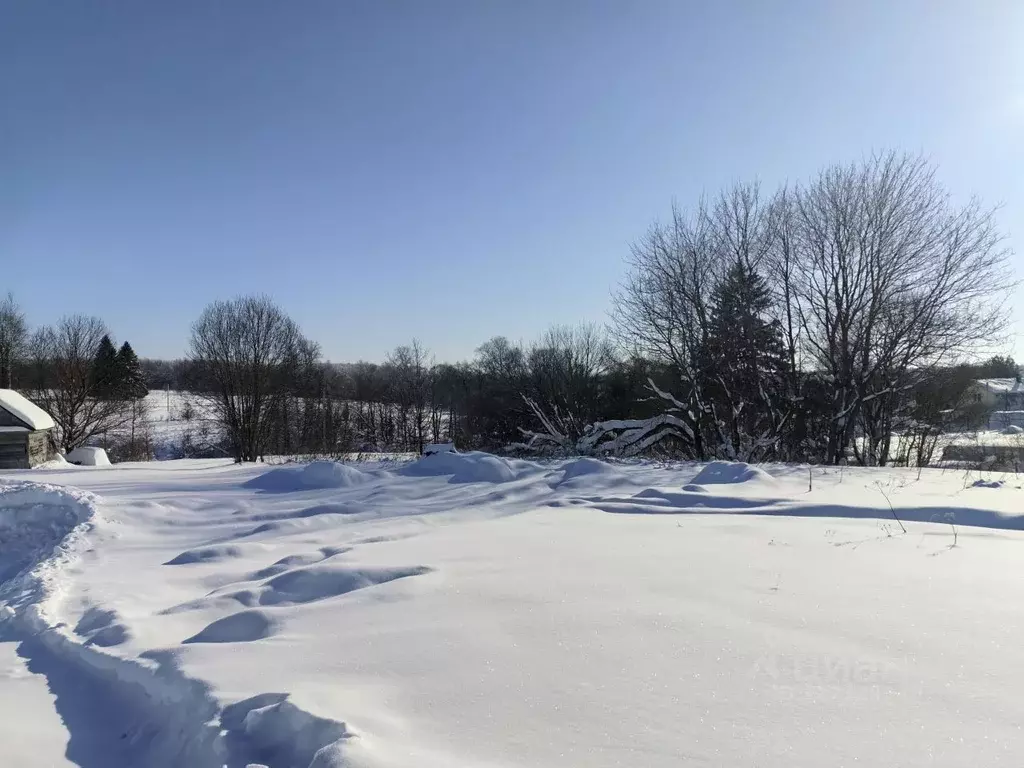 Участок в Москва д. Дмитровка, 1 (12.71 сот.) - Фото 2