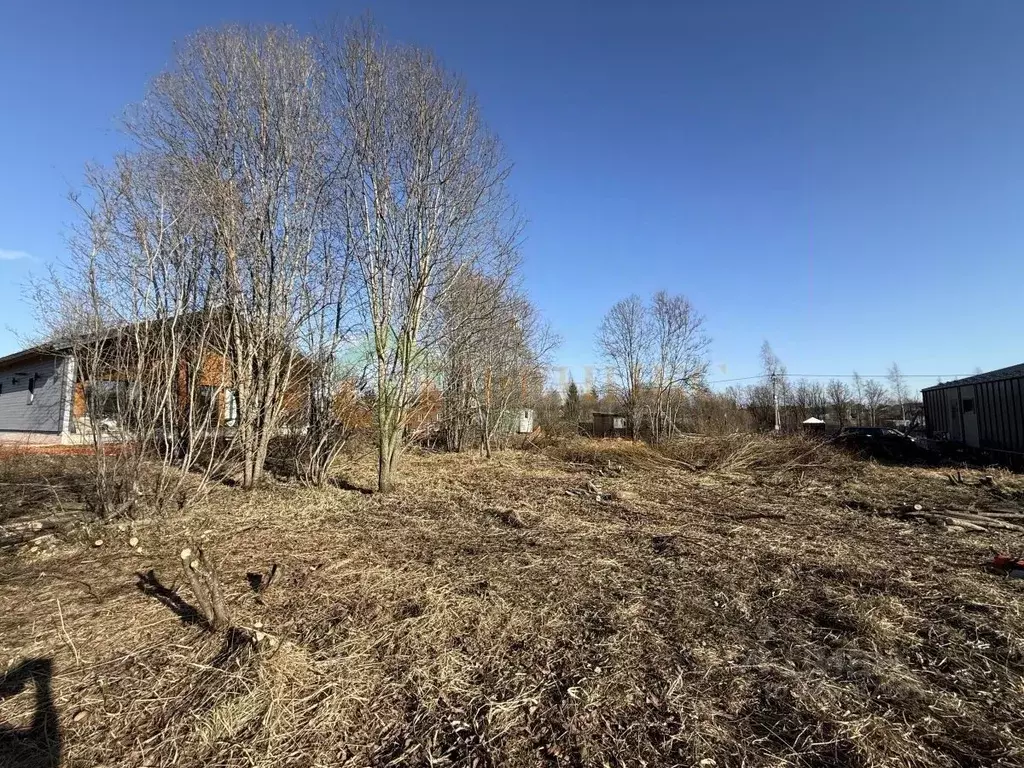 Участок в Ленинградская область, Всеволожский район, Лесколовское ... - Фото 1