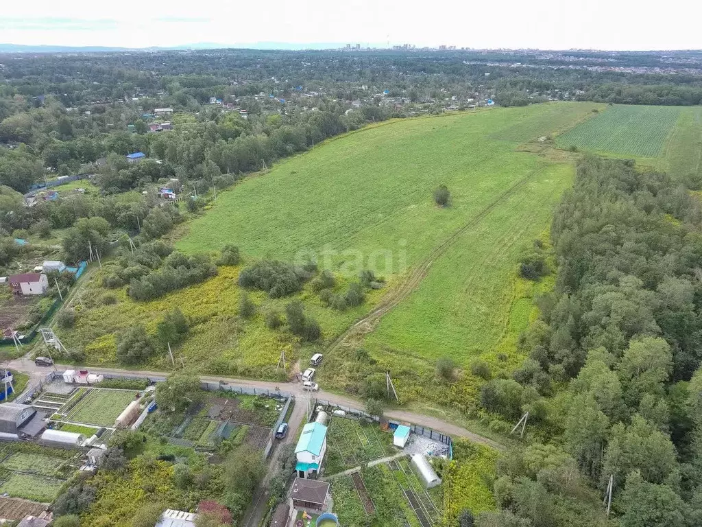 Участок в Хабаровский край, Хабаровский район, Тополевское с/пос, с. ... - Фото 2