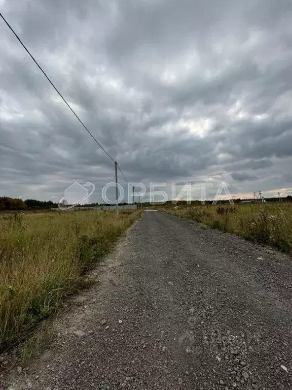 Участок в Тюменская область, Нижнетавдинский район, Царицыно СНТ  (9.5 ... - Фото 0