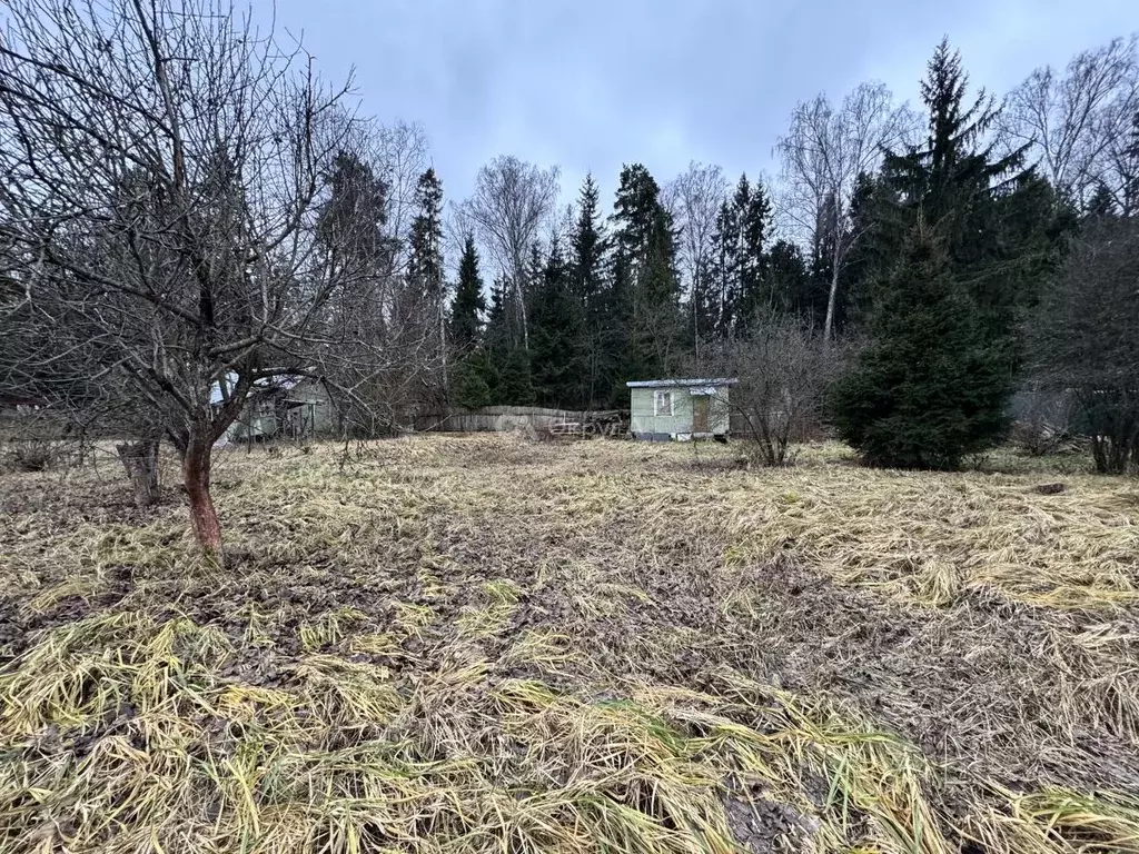 Участок в Московская область, Щелково городской округ, Горки-2 СНТ 76 ... - Фото 2