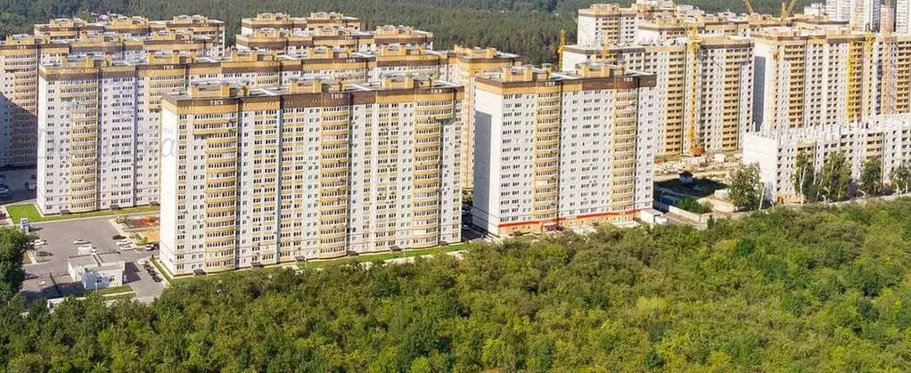 1-к кв. Воронежская область, Воронеж ул. Летчика Филипова, 6 (52.7 м) - Фото 0