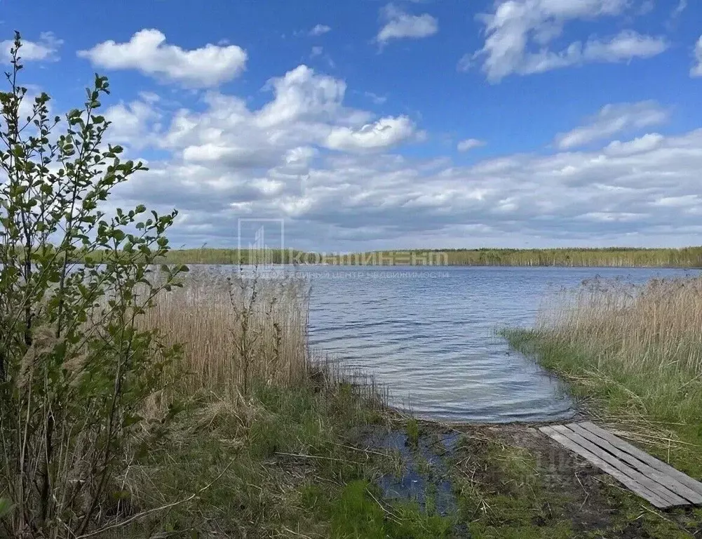 Участок в Владимирская область, Ковровский муниципальный округ, д. ... - Фото 1