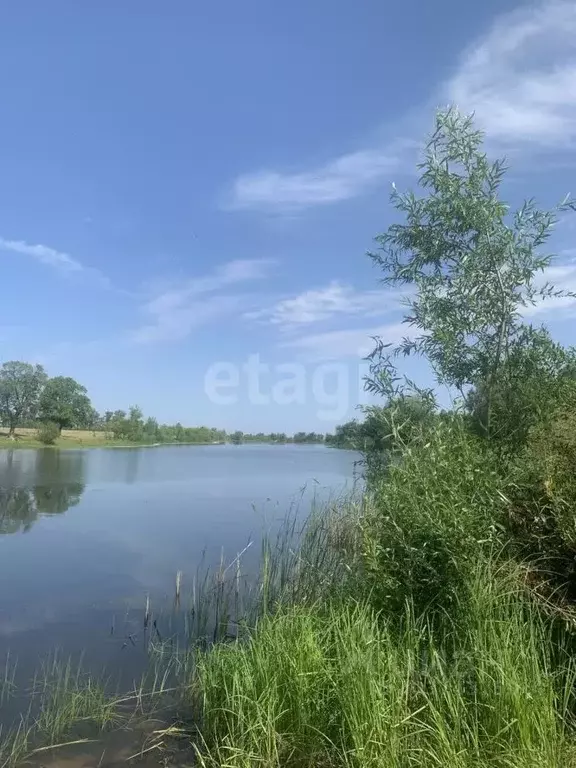 Участок в Саратовская область, Энгельсский район, Красноярское ... - Фото 1