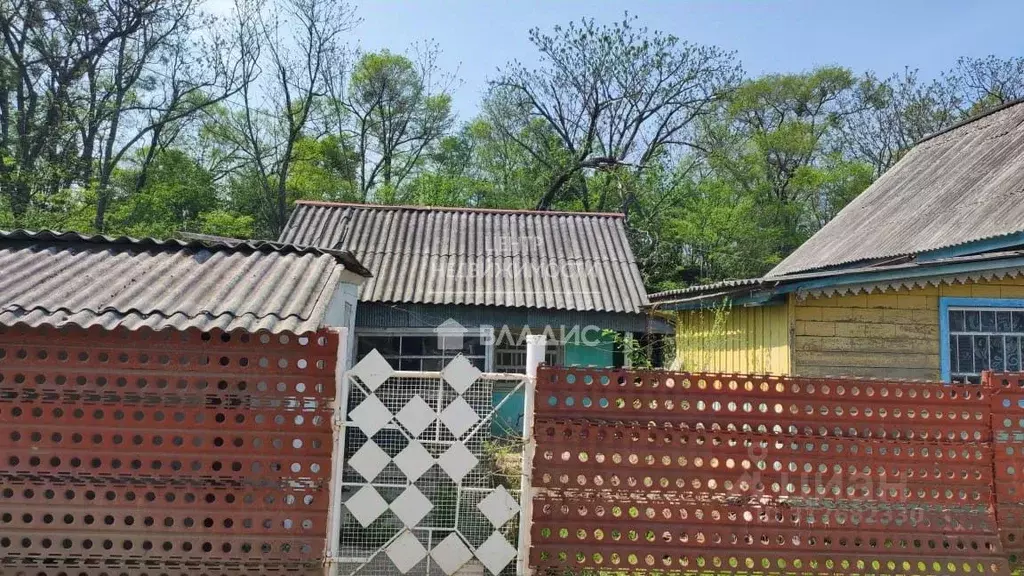 Дом в Приморский край, с. Чугуевка ул. Еловая, 8 (43 м) - Фото 0