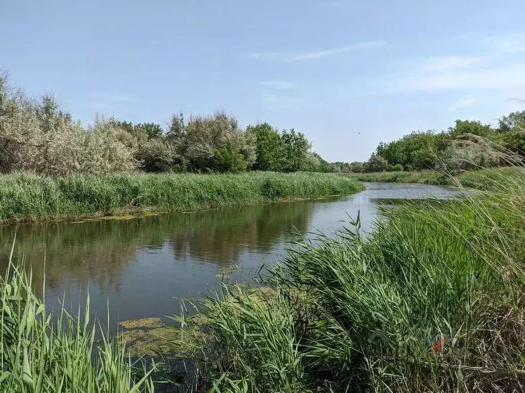 Черноречье Самарская область. Село Черноречье Самарская. Река черная Самарская область Черноречье. Подлесный Волжский район Самарская область.