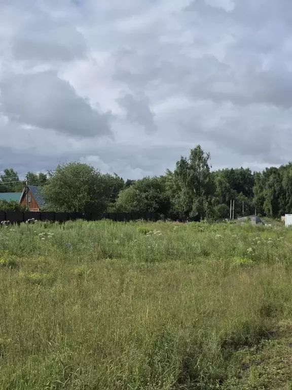 Участок в Московская область, Солнечногорск городской округ, д. ... - Фото 2