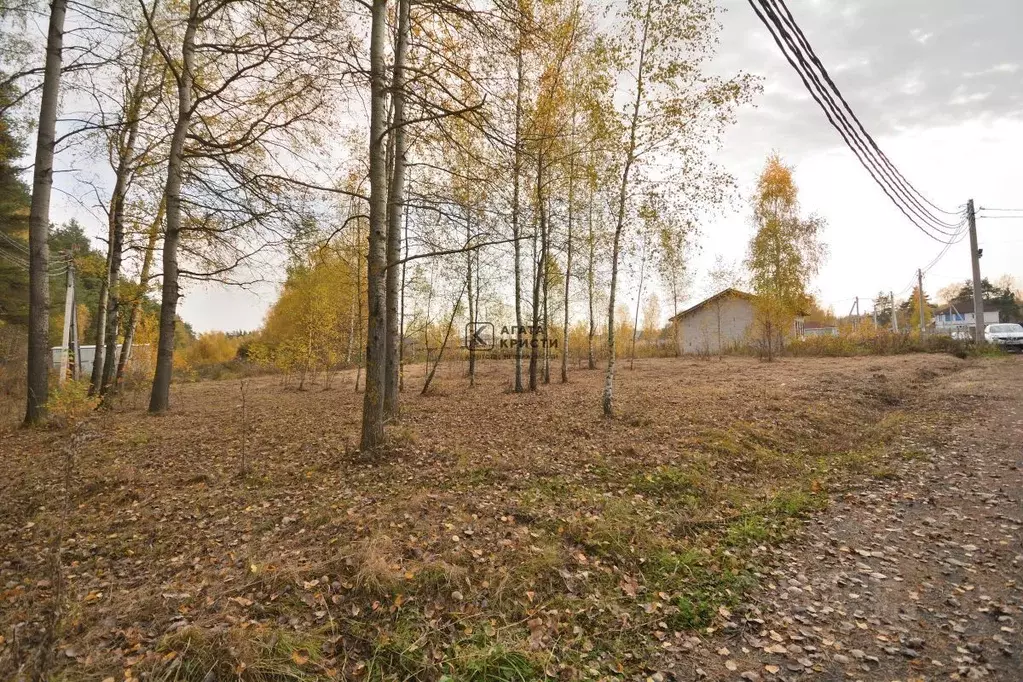 Участок в Московская область, Павловский Посад Мишутинская слобода кп, ... - Фото 2