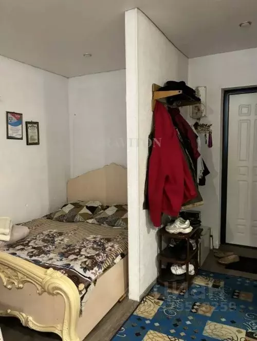 Студия Алтай, Майминский район, с. Майма ул. Строителей, 5 (28.0 м) - Фото 1