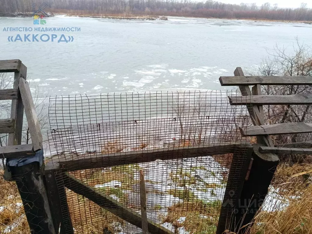 Дом в Алтайский край, Бийск Кожзаводская ул. (29 м) - Фото 2