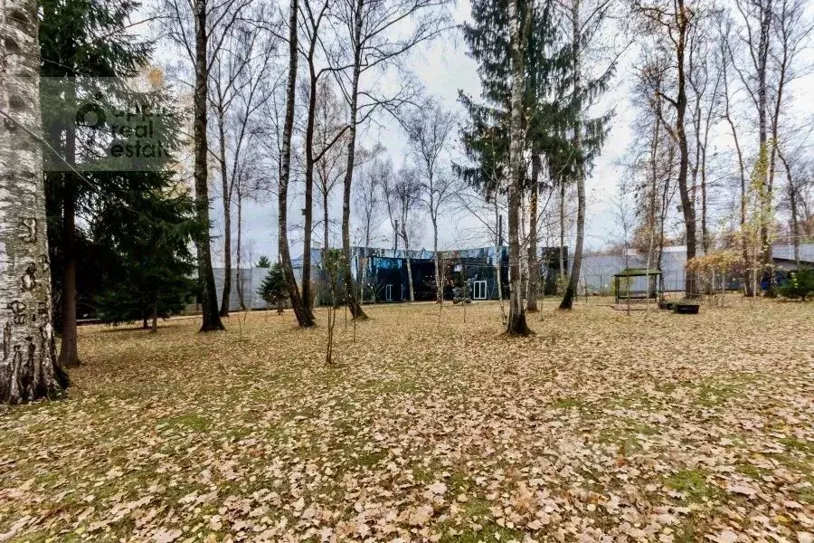 Участок в Москва д. Зименки, Летова Роща кп, ул. Березовая (36.0 сот.) - Фото 1