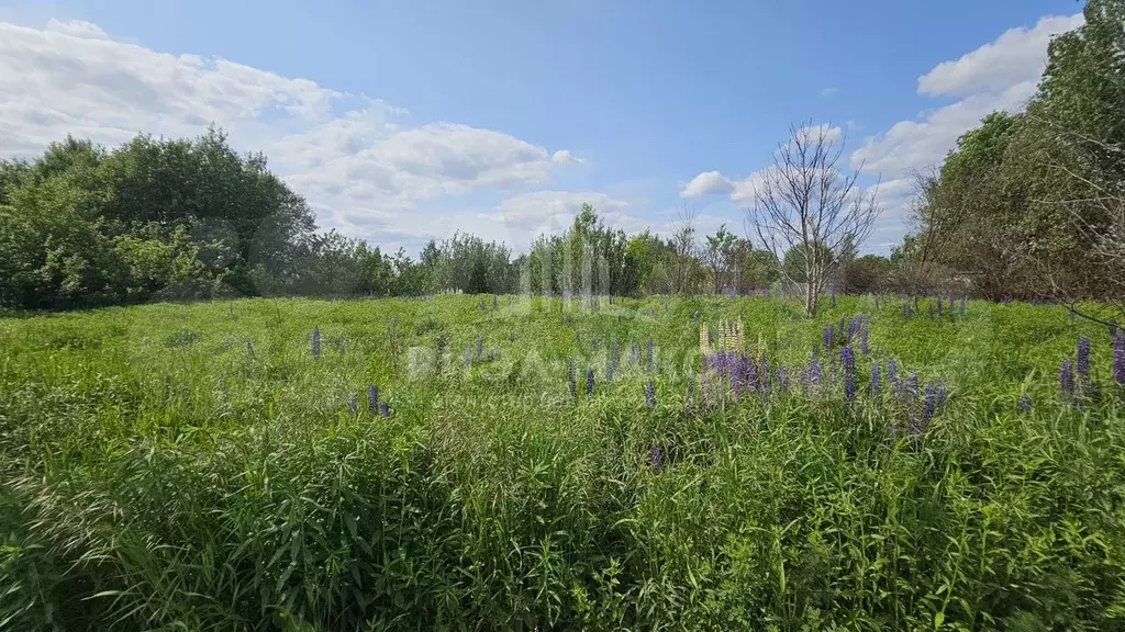 Участок 6 сот. (СНТ, ДНП) - Фото 0